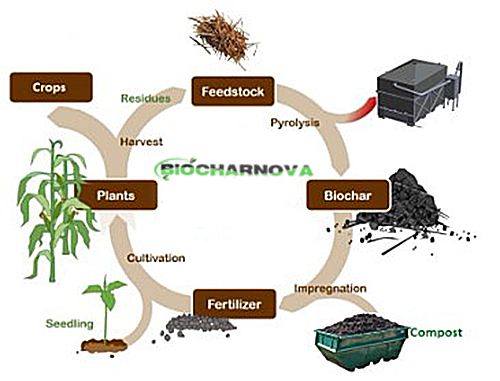 Biocharnova Üretimi